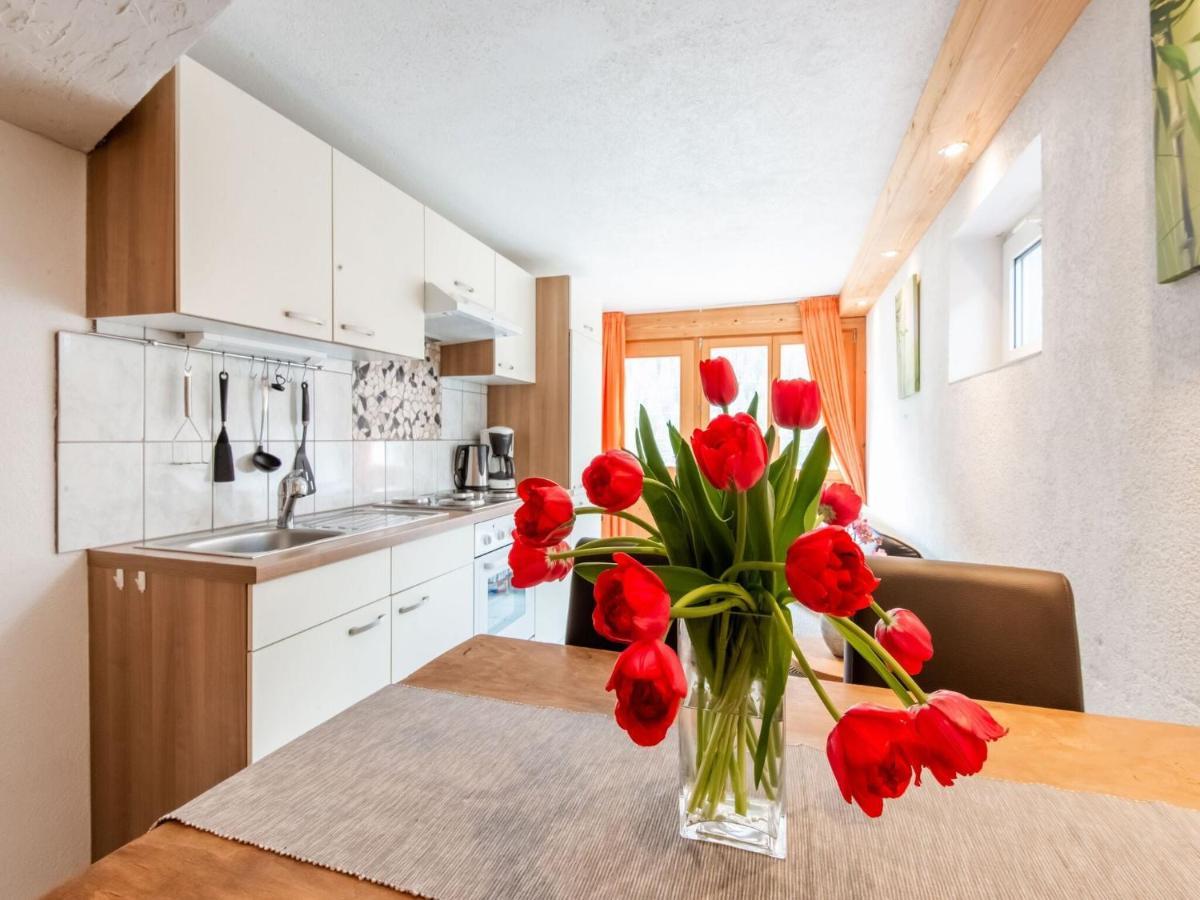 Apartment In The Silvretta-Montafon Ski Area Sankt Gallenkirch Εξωτερικό φωτογραφία